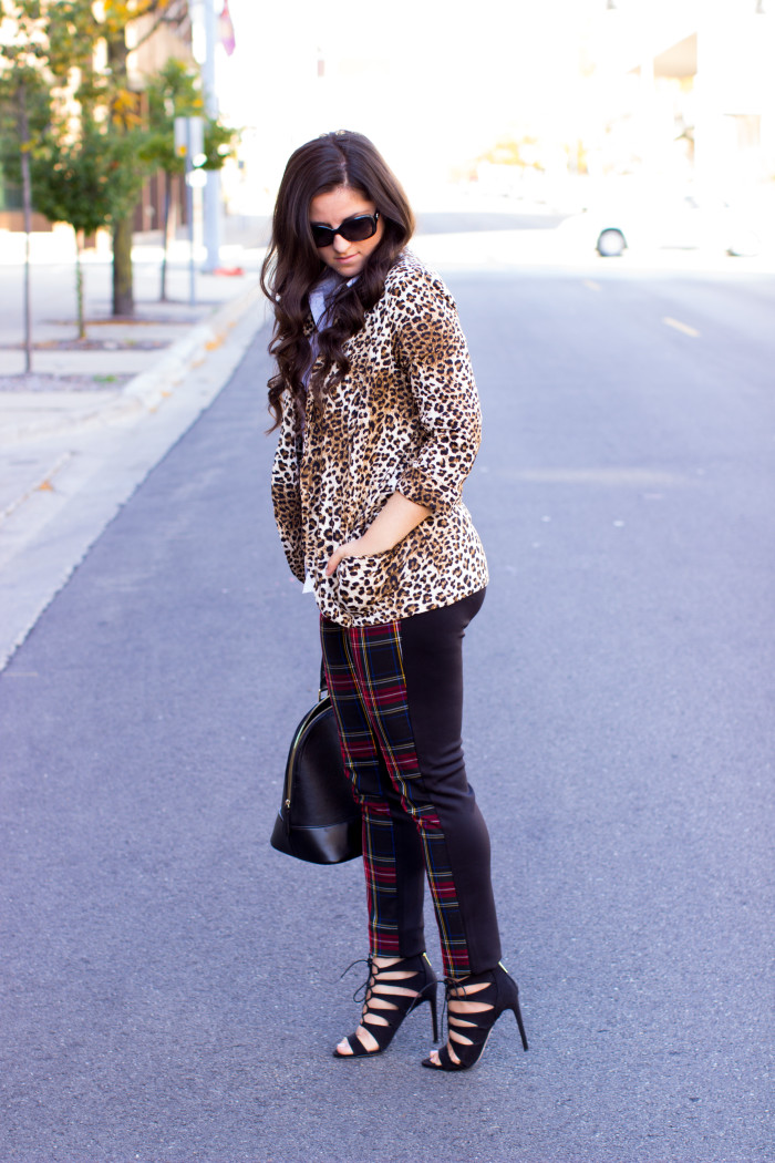 Leopard and Plaid Baily Lamb