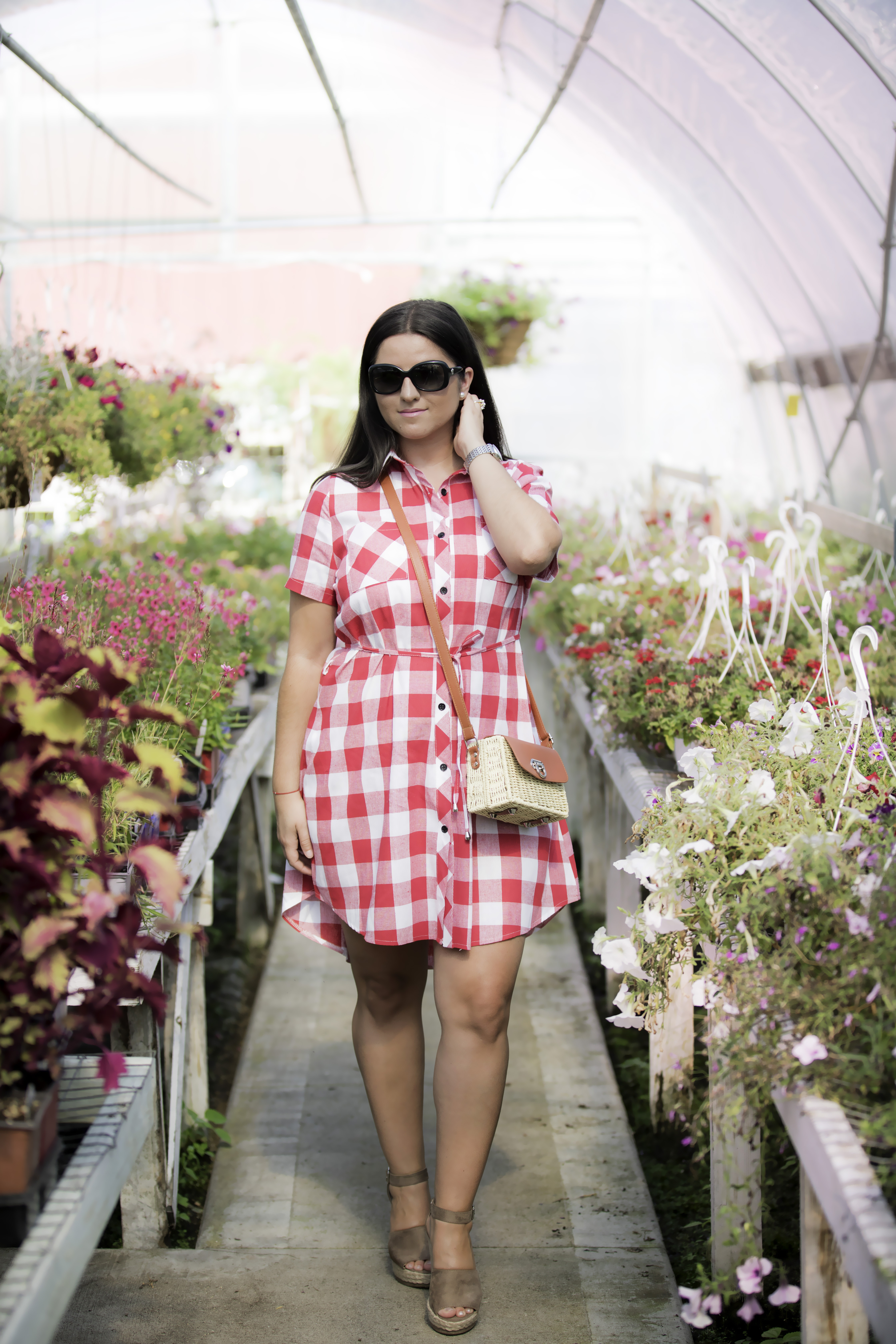 trip to meridian nursery, what to wear for Fourth of July, red plaid dress, picnic dress, fourth of july plaid dress, chicago blogger, Baily Lamb