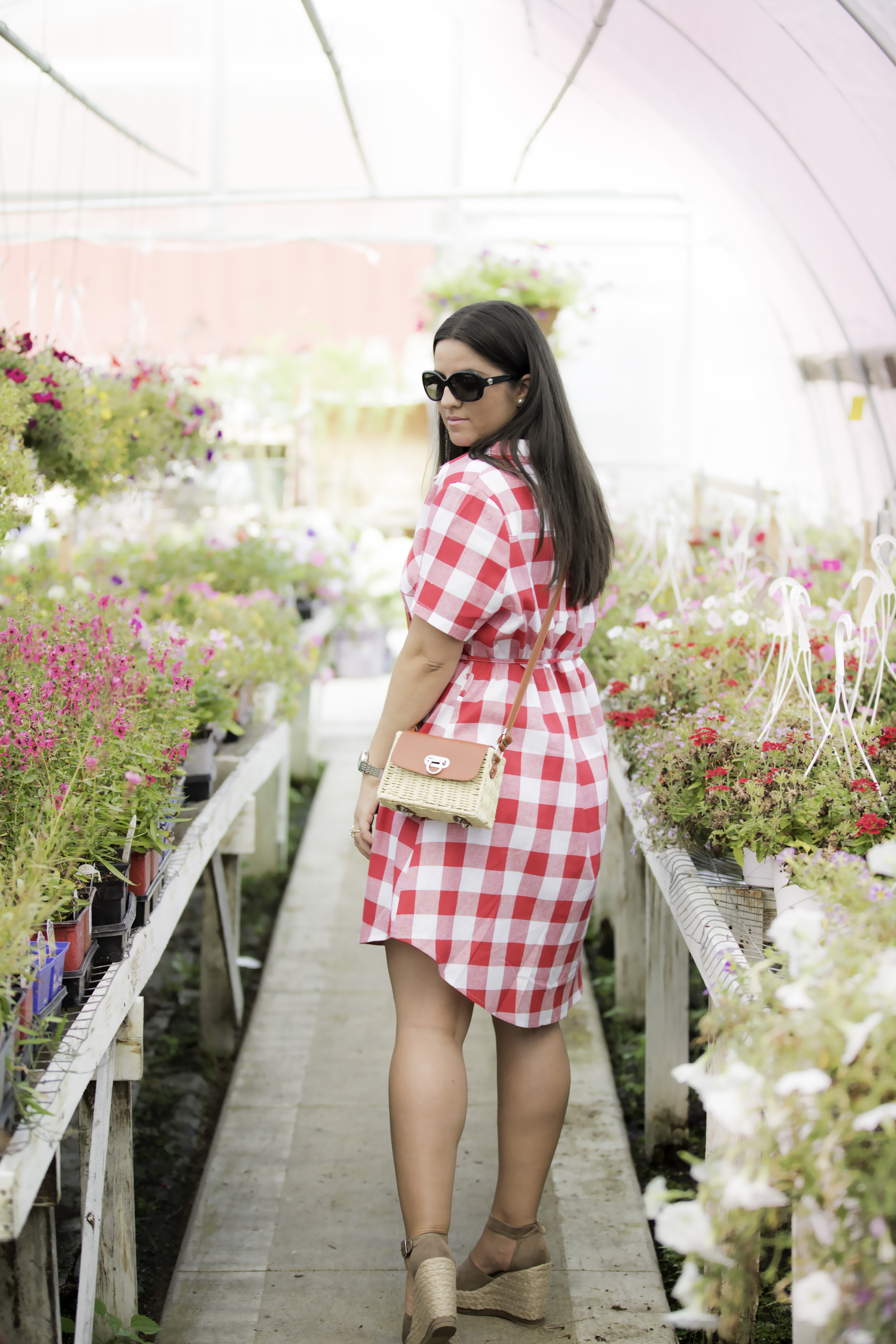 trip to meridian nursery, what to wear for Fourth of July, red plaid dress, picnic dress, fourth of july plaid dress, chicago blogger, Baily Lamb