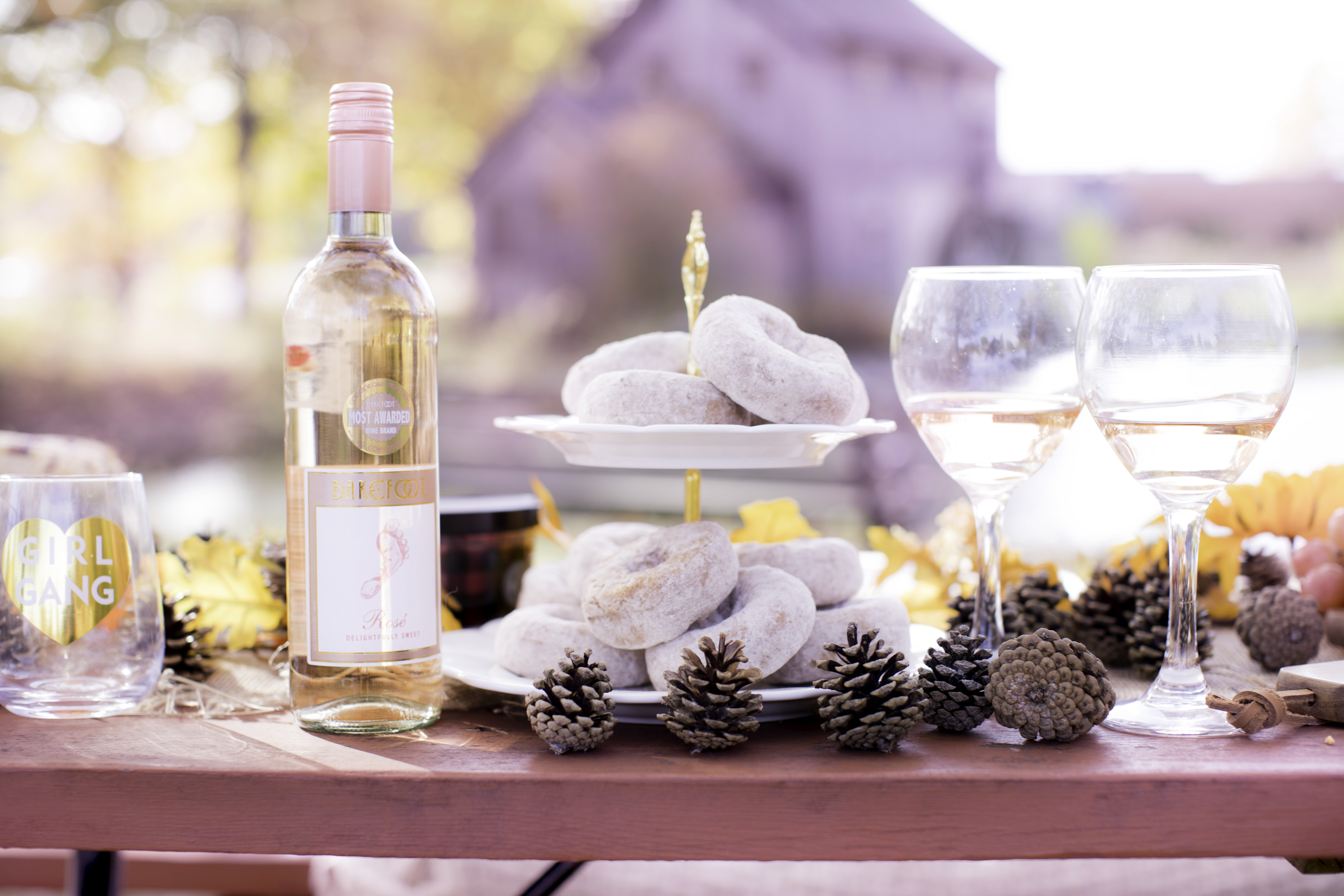 harvest picnick with barefoot wine, baily lamb